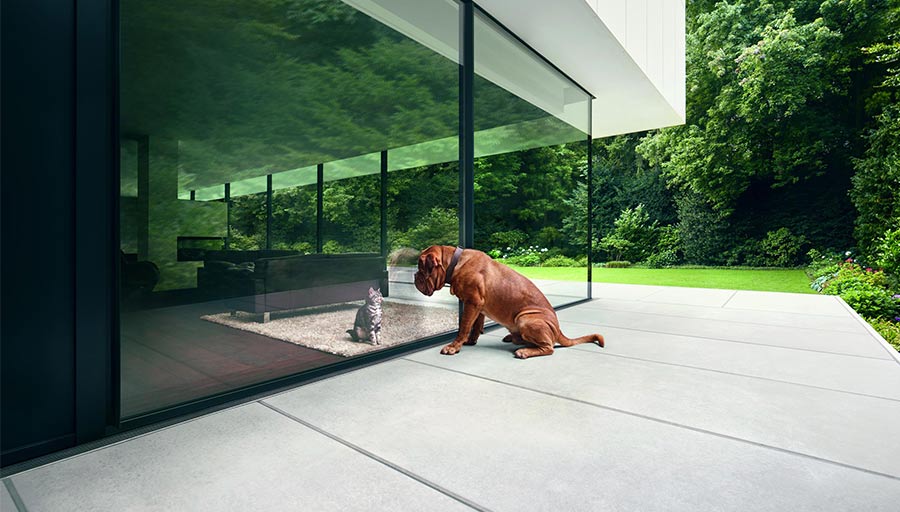 Ein Hund vor der großen Glasfront eines Wohnhauses.